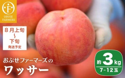 ワッサー 約3kg 7～12玉 ［おぶせファーマーズ］ 2026年8月上旬～下旬発送