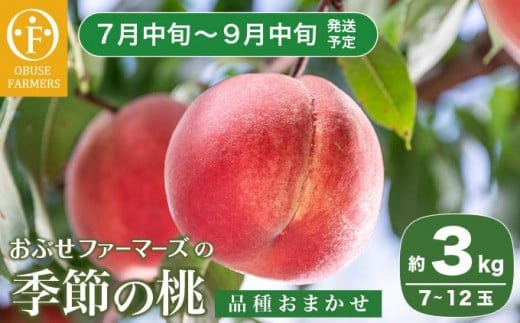 季節の桃 約3kg 7～12玉 ［ おぶせファーマーズ ］ 2026年7月中旬～9月中旬発送