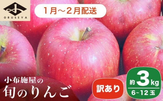 ［訳あり］ 旬のりんご 約3kg 6～12玉 ［小布施屋］ 傷 規格外 不揃い 訳アリ 家庭用 りんご 林檎 リンゴ 果物 フルーツ 長野県産 信州産 特産 産地直送 産直 数量限定 先行予約 令和7年度産 【2026年1月2月配送】［A-304d］