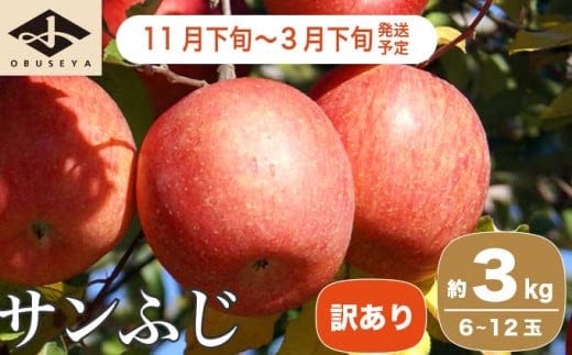 【訳あり】 サンふじ 約3kg 6～12玉［小布施屋］ 【2025年11月下旬～2026年3月下旬発送】