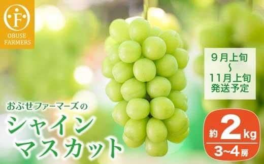 シャインマスカット 約2kg 3～4房 ［おぶせファーマーズ］ 2026年9月上旬～11月上旬発送