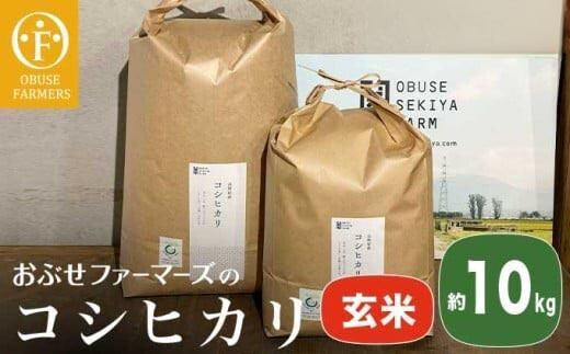 コシヒカリ 玄米 約10kg ［ おぶせファーマーズ ］【2025年11月上旬～発送】 