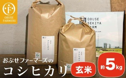 コシヒカリ 玄米 約5kg ［ おぶせファーマーズ ］【2025年11月上旬～発送】 
