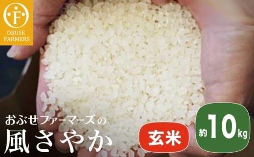 風さやか 玄米 約10kg ［ おぶせファーマーズ ］【2025年11月上旬～発送】 