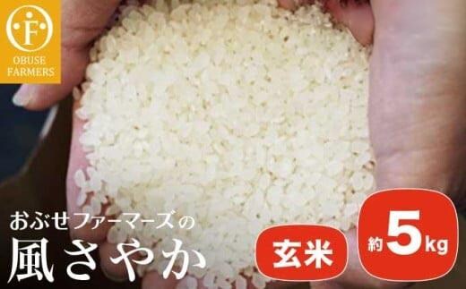 風さやか 玄米 約5kg ［ おぶせファーマーズ ］【2025年11月上旬～発送】 