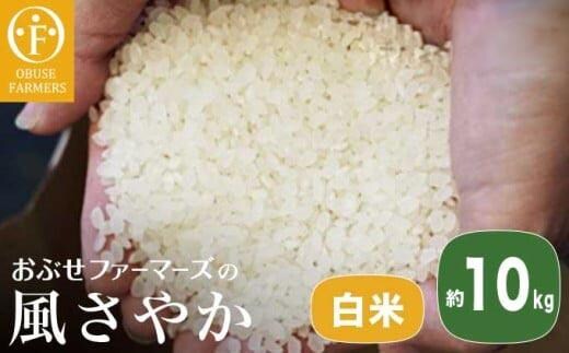 風さやか 白米 約10kg ［ おぶせファーマーズ ］【2025年11月上旬～発送】 
