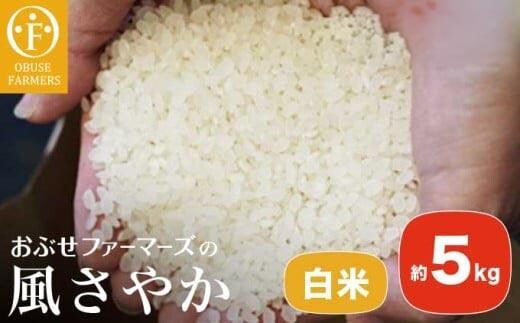 風さやか 白米 約5kg ［ おぶせファーマーズ ］【2025年11月上旬～発送】 