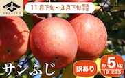 【訳あり】 サンふじ  約5kg 10～23玉［小布施屋］ 【2025年11月下旬～2026年3月下旬発送】