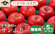 サンふじ 贈答用 約5kg 10～18玉 ［小布施屋］ 【2025年11月下旬～2026年2月発送】
