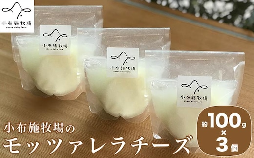 無添加 小布施牧場の搾りたてジャージー牛乳で作ったモッツァレラチーズ 100g × 3個 ［小布施牧場］