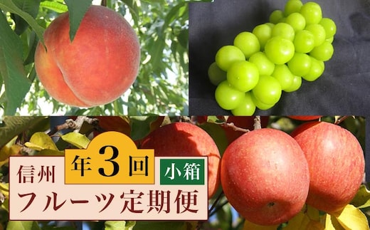 ［3回定期便］ 信州のフルーツ3回コース 小箱［小布施屋］ 2026年7月～12月発送