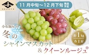 冬のシャインマスカット＆クイーンルージュ® 約1kg 各1房 ［小布施屋］ 2025年11月中旬～12月下旬発送