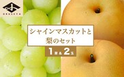 シャインマスカット1房と梨2玉 詰め合わせ ［小布施屋］ 2025年9月中旬頃～10月下旬頃まで順次発送