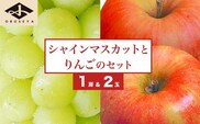 シャインマスカット1房とりんご2玉 詰め合わせ ［小布施屋］ 2025年9月下旬頃～11月上旬頃まで順次発送