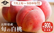 旬の白桃 約900g 2～4玉 ［小布施屋］ 2026年7月上旬～9月中旬発送