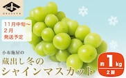 蔵出し冬のシャインマスカット 約1kg  2房 ［小布施屋］ 【2025年11月中旬～2026年2月発送】