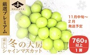 蔵出し冬のシャインマスカット 厳選大房1房 760g以上 ［小布施屋］ 2025年11月中旬～2026年2月発送