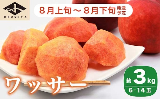 ワッサー 約3kg 6～14玉［小布施屋］ 2026年8月上旬～8月下旬発送