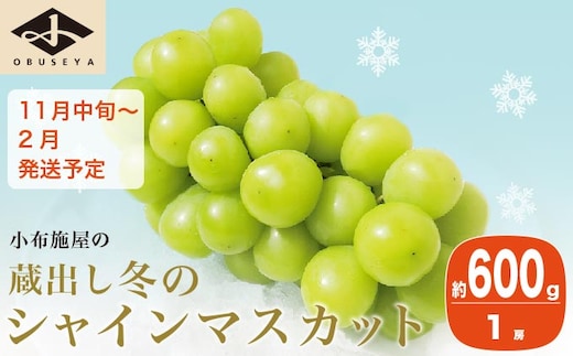 蔵出し冬のシャインマスカット 約600g 1房 ［小布施屋］ 2025年11月中旬～2026年2月発送