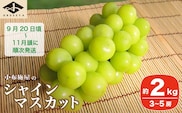 シャインマスカット 約2kg 3～5房 ［小布施屋］2026年9月20日頃～11月頭にかけて順次発送