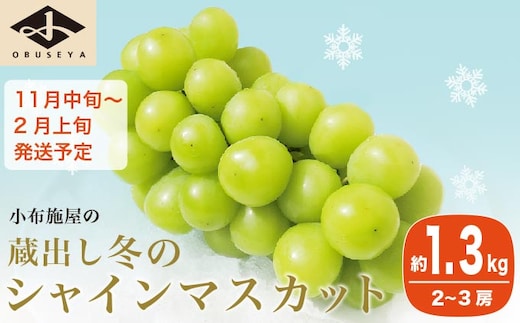 蔵出し冬のシャインマスカット 約1.3kg 2～3房 ［小布施屋］ 2025年11月中旬～2025年2月発送