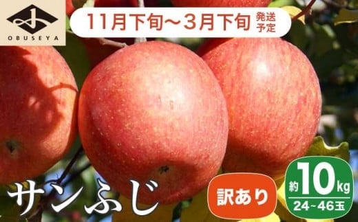 【訳あり】 サンふじ 約10kg 24～46玉 ［小布施屋］ 【2025年11月下旬～2026年3月下旬発送】