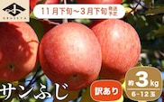 【訳あり】 サンふじ  約3kg 6～12玉［小布施屋］ 【2025年11月下旬～2026年3月下旬発送】