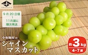 シャインマスカット 約3kg 4～7房 ［小布施屋］ 2026年9月20日頃～11月頭にかけて順次発送