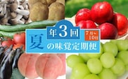 ［3回定期便］ 夏の味覚3回コース ［小布施屋］ 2026年7月～10月発送