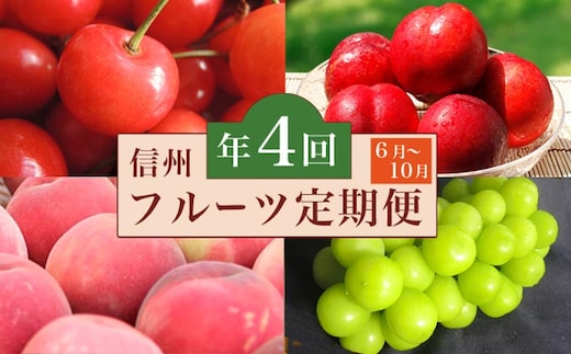 ［4回定期便］ 小布施のフルーツ4回コース ［小布施屋］ 2026年6月中旬～11月発送
