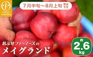 メイグランド 約2.6kg ［おぶせファーマーズ］ 2026年7月中旬～8月上旬発送