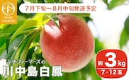 川中島白鳳 約3kg 7～12玉 ［おぶせファーマーズ］ 2026年7月下旬～8月中旬発送