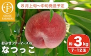 なつっこ 約3kg 7～12玉 ［おぶせファーマーズ］ 2026年8月上旬～中旬発送