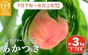 あかつき 約3kg 7～12玉 ［おぶせファーマーズ］  2025年7月下旬～8月上旬発送