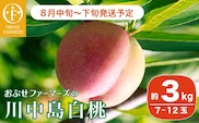 川中島白桃 約3kg 7～12玉 ［おぶせファーマーズ］  2026年8月中旬～下旬発送