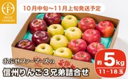信州りんご3兄弟詰め合わせ 約5kg 11〜18玉 ［おぶせファーマーズ］   2025年10月中旬〜11月上旬発送