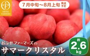 サマークリスタル 約2.6kg ［おぶせファーマーズ］ 2026年7月中旬～8月上旬発送