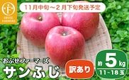 【訳あり】 サンふじ  約5kg 11～18玉 ［おぶせファーマーズ］  【2025年11月中旬～2026年2月下旬発送】