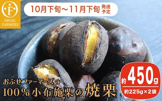 100％小布施栗の焼栗 約450g ［おぶせファーマーズ］ 2025年10月下旬～11月下旬発送
