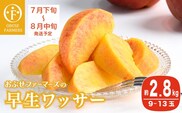 早生ワッサー 約2.8kg 9～13玉 ［おぶせファーマーズ］ 2026年7月下旬～8月中旬発送