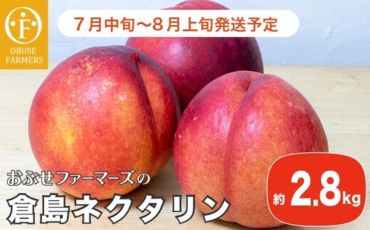 倉島ネクタリン 約2.8kg ［おぶせファーマーズ］ 2026年7月中旬～8月上旬発送
