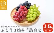 ぶどう3姉妹® シャインマスカット ＆ ナガノパープル ＆ クイーンルージュ®詰合せ  [おぶせファーマーズ]   2025年9月中旬～10月下旬発送
