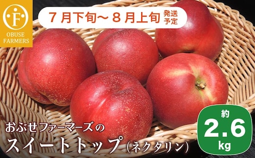 スイートトップ 約2.6kg ［おぶせファーマーズ］ 2026年7月下旬～8月上旬発送