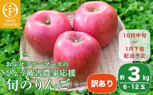 【訳あり】 りんご ひょう被害農家応援 約3kg 6～12玉［おぶせファーマーズ］ 訳あり 農家応援 不揃い 規格外 家庭用 りんご 林檎 リンゴ 果物 フルーツ ふじ 長野 信州 数量限定 【2025年10月中旬～2026年1月下旬発送】