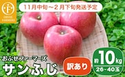 【訳あり】 サンふじ  約10kg  26～40玉 ［おぶせファーマーズ］  【2025年11月中旬～2026年2月下旬発送】