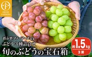 ぶどう3種詰め合わせ 旬のぶどうの宝石箱 約1.5kg 3房  [おぶせファーマーズ] 2025年9月中旬～10月下旬発送