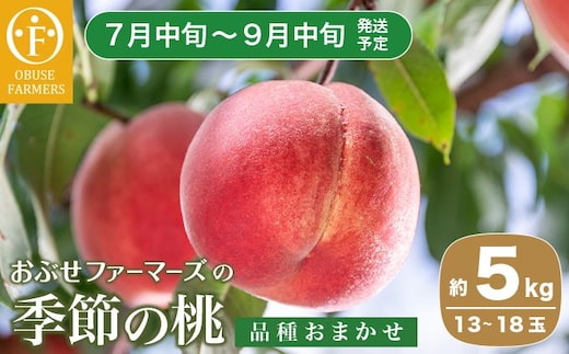 季節の桃 約5kg 13～18玉 ［ おぶせファーマーズ ］ 2026年7月中旬～9月中旬発送