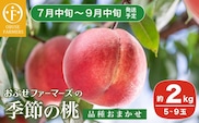 季節の桃 約2kg 5～9玉 ［ おぶせファーマーズ ］ 2026年7月中旬～9月中旬発送