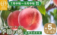 季節の桃 約5kg 13～18玉 ［ おぶせファーマーズ ］ 2026年7月中旬～9月中旬発送