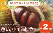 熟成小布施栗 約2kg ［おぶせファーマーズ］  2025年10月下旬～11月下旬発送